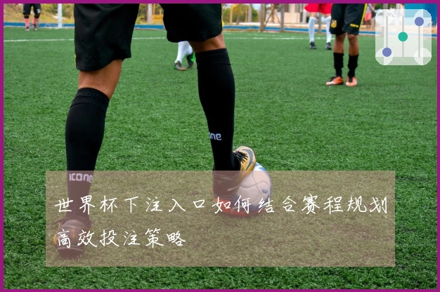 世界杯下注入口如何结合赛程规划高效投注策略