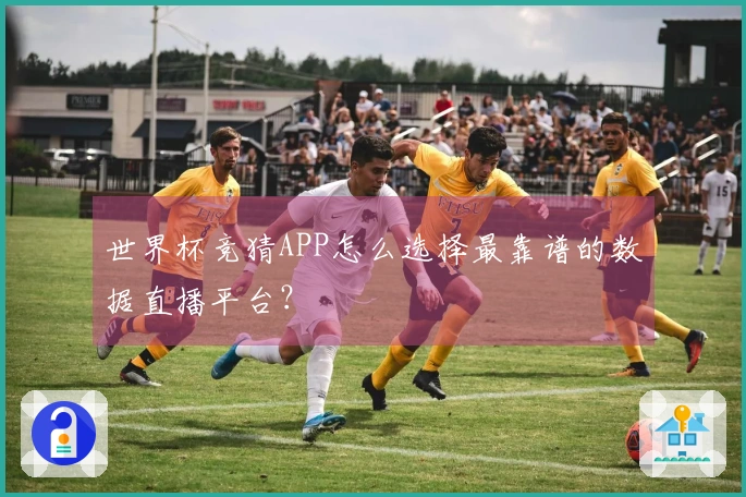 世界杯竞猜APP怎么选择最靠谱的数据直播平台？