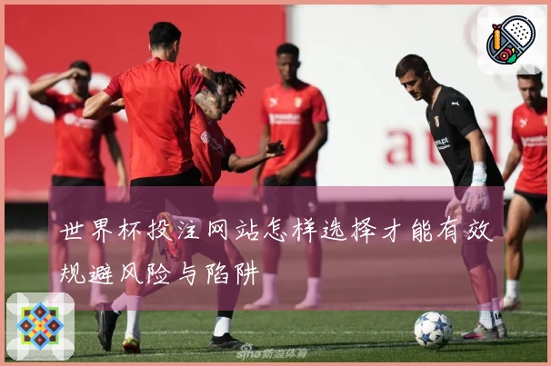 世界杯投注网站怎样选择才能有效规避风险与陷阱